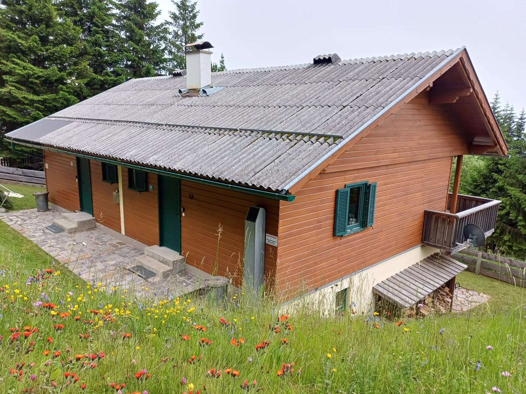 Almzeit Klippitz Apartment Klippitztorl Екстериор снимка
